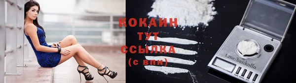 mix Губаха