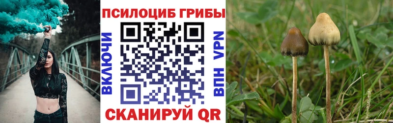 Галлюциногенные грибы прущие грибы  ОМГ ОМГ ссылки  Богородск 