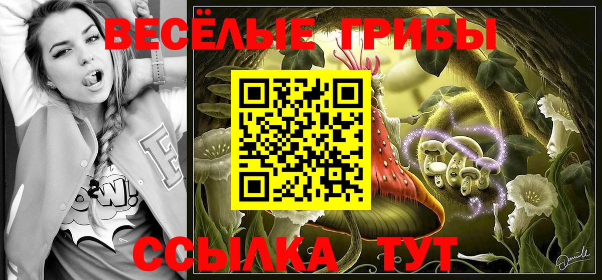 Псилоцибиновые грибы Cubensis  Вход с VPN  Богородск 